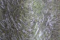 Upperby fibreglass roof work